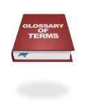 Glossary of Terms